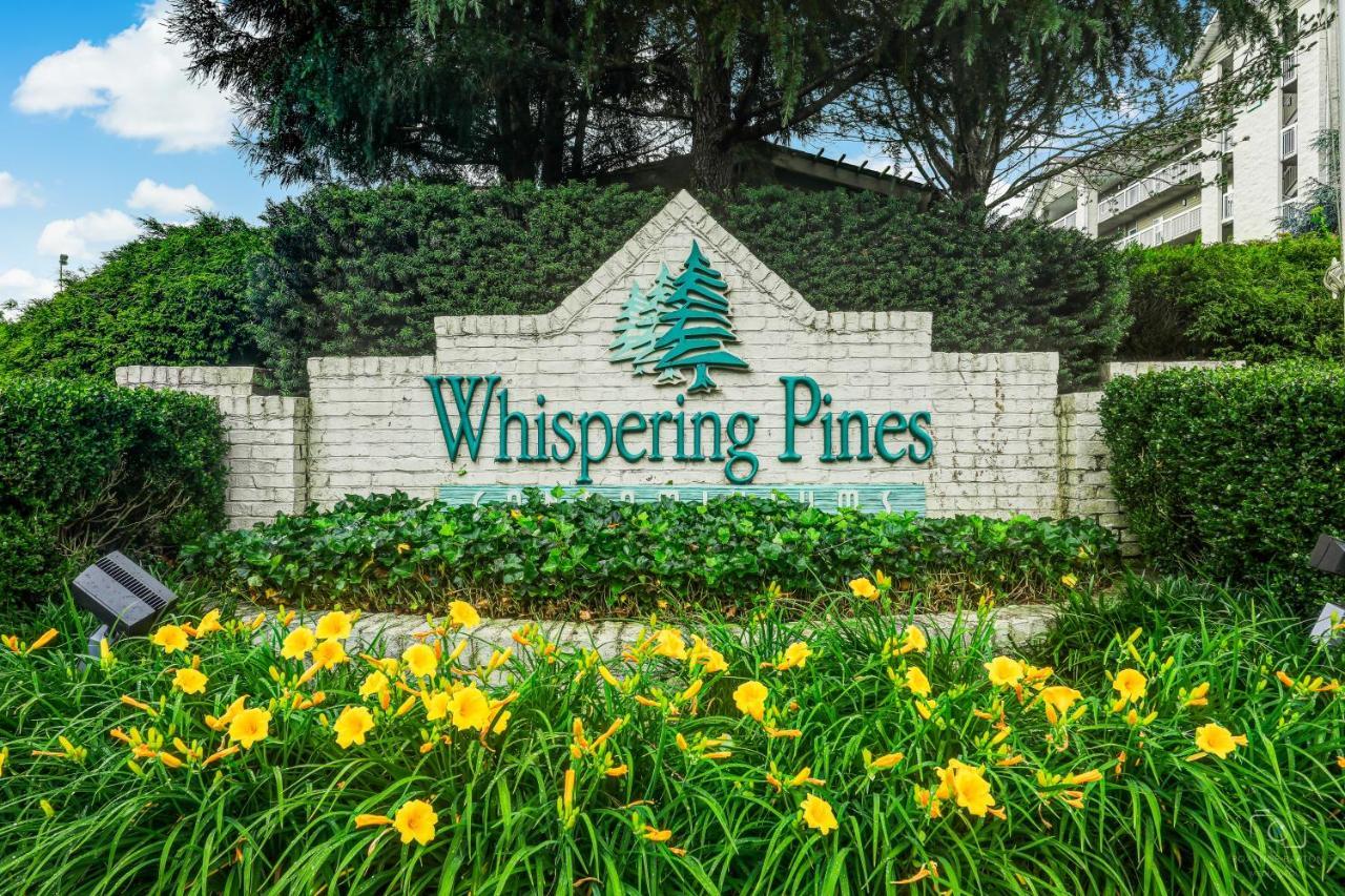 鸽子谷Leconte View Retreat Whispering Pines 454公寓 外观 照片